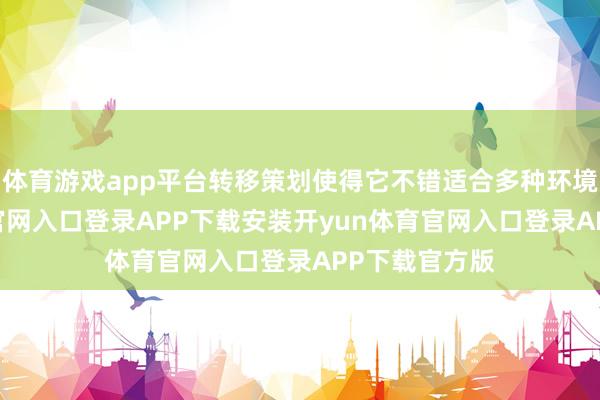 体育游戏app平台转移策划使得它不错适合多种环境-开yun体育官网入口登录APP下载安装开yun体育官网入口登录APP下载官方版