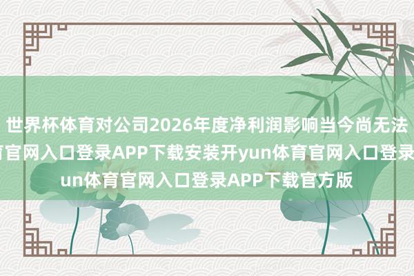 世界杯体育对公司2026年度净利润影响当今尚无法细则-开yun体育官网入口登录APP下载安装开yun体育官网入口登录APP下载官方版